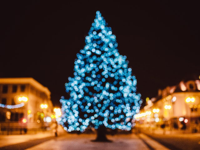 city-tree-bokeh-christmas-21430.jpg